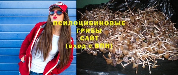 синтетический гашиш Козловка