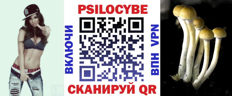 купить наркотик  Отрадное  Галлюциногенные грибы Psilocybine cubensis 