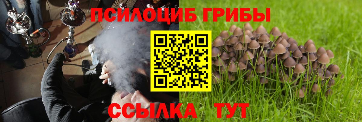 Галлюциногенные грибы мицелий  Вход с VPN  Псилоцибиновые грибы ЛСД  Отрадное 
