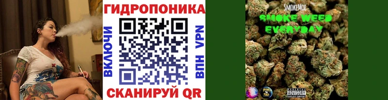 закладки  Отрадное  Каннабис план 